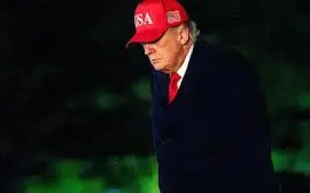 Bbc Exposes the Hidden Trading Pattern Looming Over Trump’s Presidency