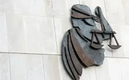 Judge Sends Dublin Man’s Claim to DPP After ‘Nothing but a Lie’ Ruling