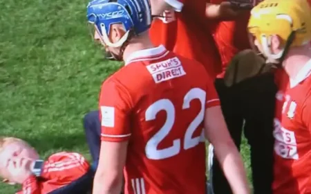 Darragh Fitzgibbon and the young fan: a small act of care after Thurles celebrations