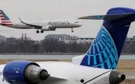 Airline Tie-Up Talk Exposes a Bigger Question About Power and Choice