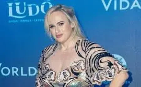 Rebel Wilson and the Sydney defamation trial turning on 4 posts and a disputed bath incident