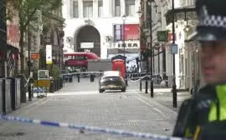 Gabrielle Carrington and the human cost of a central London crash