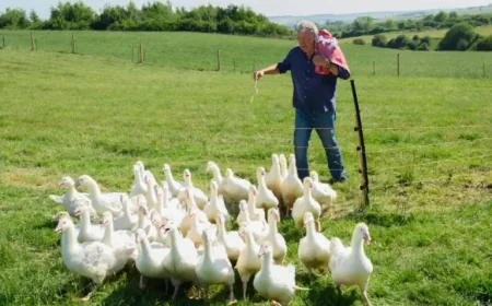 Clarkson’s Farm Sets Season 5 Launch Date, But the Real Story Is the Government Budget Behind It