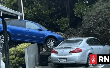 Wellington Weather Turns a Capital Into a Waiting Room