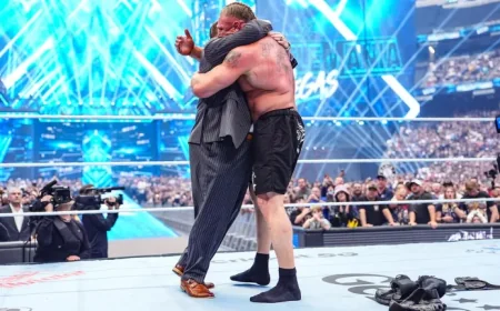 Triple H Reacts to Brock Lesnar’s WWE Retirement Hint