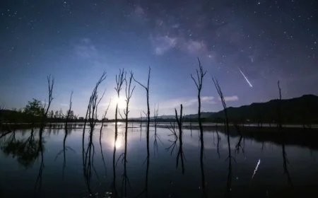 Lyrid Meteor Shower Tonight Brings a Quiet Reminder to Look Up