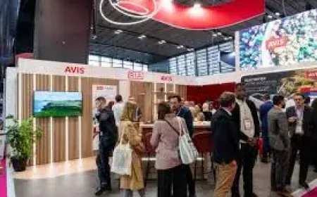 Avis Stock Surges 33.1%: 3 Signals Behind the Short Squeeze Rally