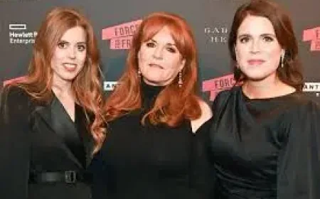 Ferguson in Austria: 7 Months Missing, One Question Palace Won’t Love