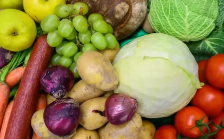 Csiro and Australia’s food supply: a system under strain, and the people living with it