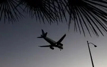 Westjet Jet Fuel Costs as Summer Cuts Test Airline Capacity