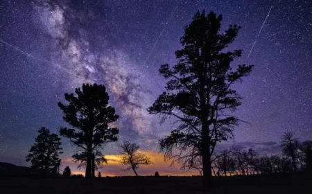 Meteor Shower: How the Lyrids Return as 2026 Approaches