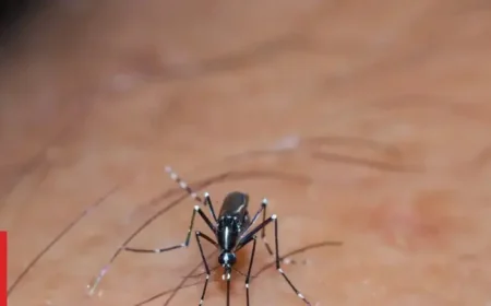 Tonga faces a dengue outbreak as hospitals and families stay on alert