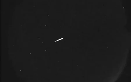 Lyrids Meteor Showers Bring a Quiet Night of Looking Up