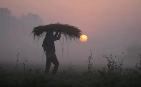 Food Prices Under Pressure as Red Diesel Costs Jump 56% and Farmers Warn of Cuts
