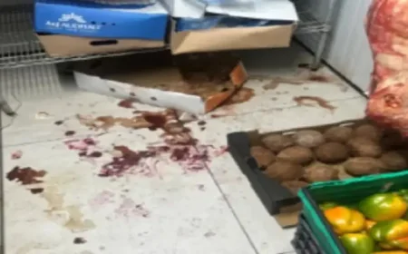 Hertfordshire’s low hygiene ratings and rising community fear reveal 2 different pressures