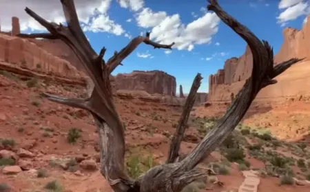 Angels Landing and the family left behind after a deadly fall at Zion