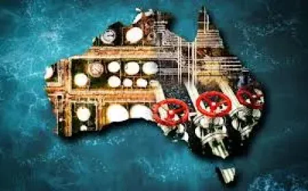 Konrad Benjamin and Labor face pressure on gas tax