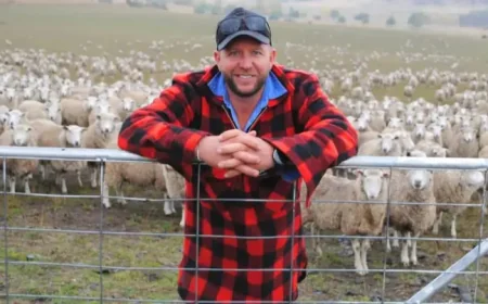 Weaning gains of 20pc: How one Tasmanian farmer changed lamb results with Gippsland genetics