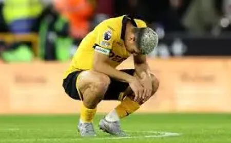 Crystal Palace Draw Sends Wolves Down in a Season of Costly Rebuilding