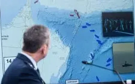 Msc Francesca and the Strait of Hormuz shock: 3 signals from a maritime crisis