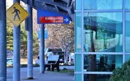 Nova Scotia and the forest ban: what the court ruling means after the shift