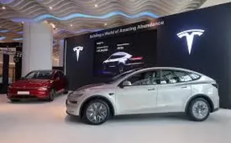 Tesla India Launches New Six-Seater Model Y In Bid To Lift Sales
