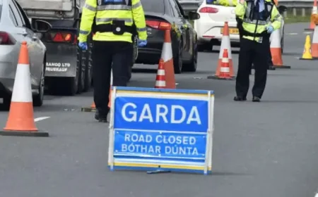 Dublin Airport crash leaves man in his 60s dead after shuttle bus collision