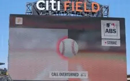 James Mccann as MLB weighs the next step in ABS