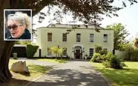 David Agnew and Twink face a renewed battle over a south Dublin home as July approaches