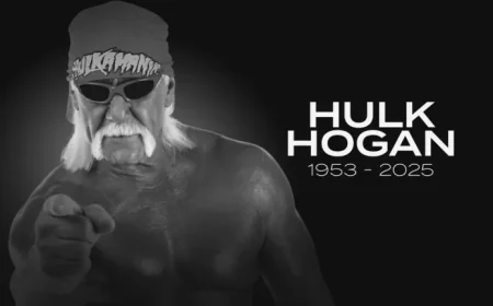 Hulk Hogan Admits to Dangerous Fentanyl Use During TNA Stint
