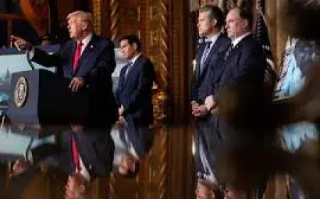 Aukus fallout grows as Phelan exits Trump administration