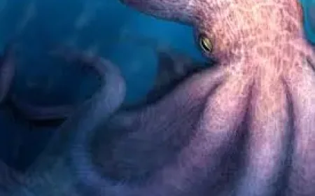 Giant Octopus: New fossil study suggests a 19-metre predator ruled Cretaceous seas