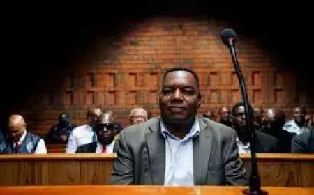 South Africa: Ramaphosa suspends police chief in 4-count court case