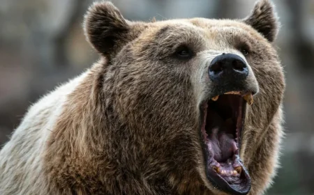 Stocks Plunge as Software Slumps Amid Iran Negotiation Struggles