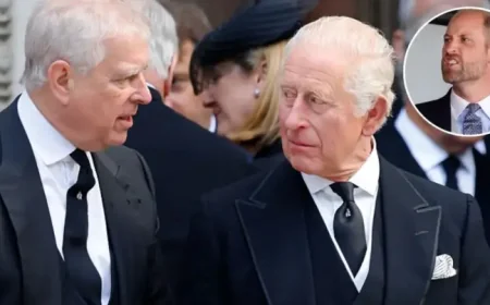Prince William Andrew King Charles Meeting: 5 Signs of a Royal Standoff That Could Not Be More Delicate