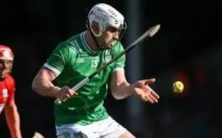 Limerick Hurling Faces a Tactical Test Cork Cannot Ignore