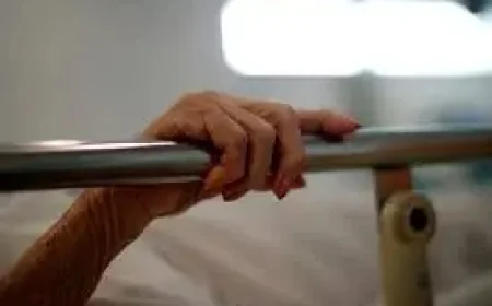 Assisted Dying Bill Runs Out of Time After 1,280 Amendments Stalled Parliament