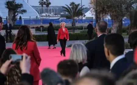 Eu Mutual Assistance Pact Plan Gains Urgency as Trump’s Nato Jibes Shake Europe