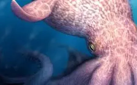 Giant Octopus and the ancient-seas turning point