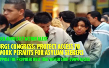 Urgent Asylum Seeker Work Permit Warning Triggers Action Call