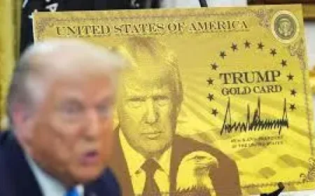 Trump Gold Card: 1 Approval Raises Questions Over Early Treasury Impact