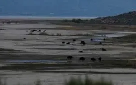 Great Salt Lake Funding Debate Highlights a Wider Western Stakes Test