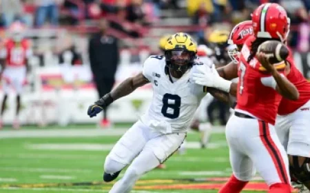 Initial Mike Vrabel-Dianna Russini Photos Not Captured by Private Investigator