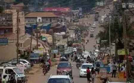 Energy Shock Has Changed the Fossil Fuel Game Forever, IEA Chief Says