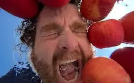 Zach Galifianakis in This Is a Gardening Show review: a charming new series that feels like perfect TV