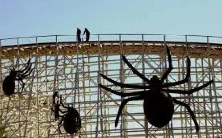 Six Flags Great America Marks 50 Years With a Season Built on Memory and Motion
