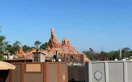 Supports Installed for New Wall Between Big Thunder Mountain and Piston Peak