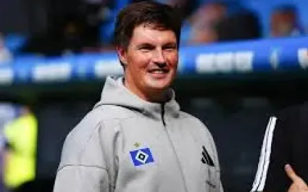 Hamburg Vs Hoffenheim: 3 key takeaways from a volatile Bundesliga showdown