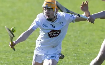 Kildare U20s and Gaa Results Today: Wexford’s ruthless numbers tell the story in 5-28 to 2-14 win