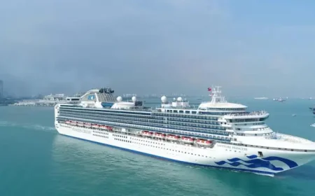 Princess Cruises: 5 Bodies Recovered After Ship Spots Orange Object at Sea